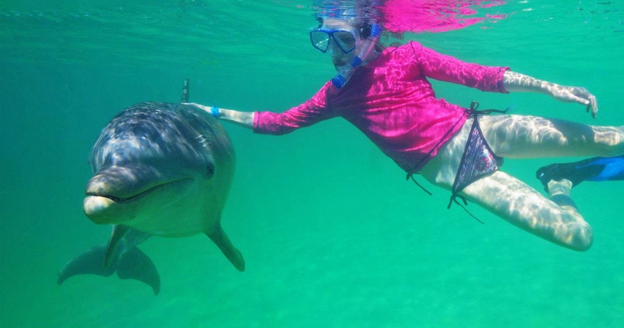 dolphin-swim-and-snorkel-mahogany-bay-isla-roatan-14